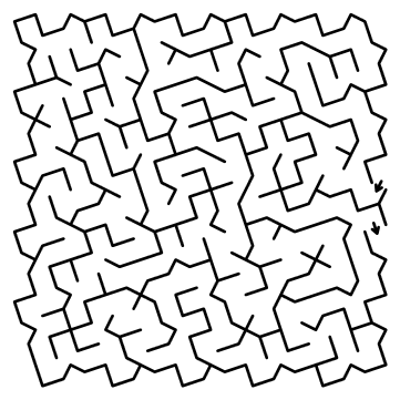 house maze puzzle