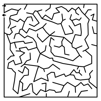 random maze puzzle