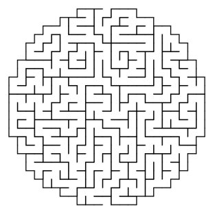 Circle shaped maze puzzle